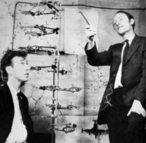 James Watson & Francis Crick