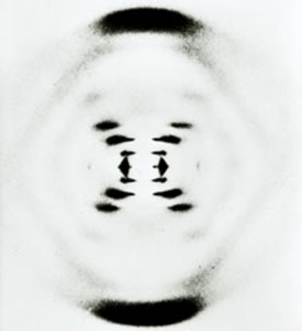 Rosalind Franklin & Maurice Wilkins