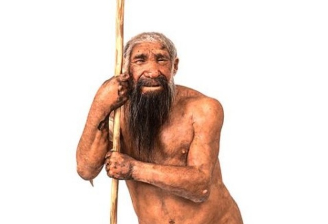 Homo neanderthalensis