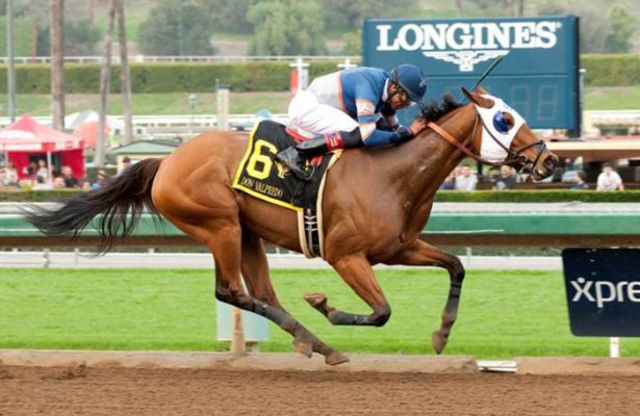 Started because of a bet.