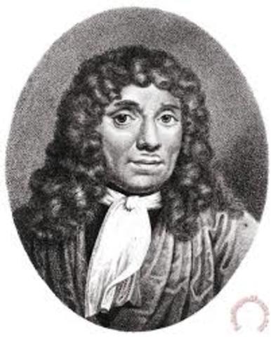 Anton Van Leeuwenhoek descubrio unos microorganismos llamados protozos  en un lago.