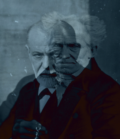 ARTHUR SCHOPENHAUER (1788-1860)