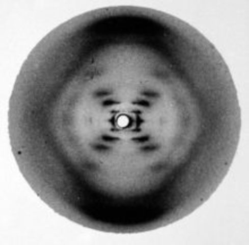 James Watson and Frances Crick