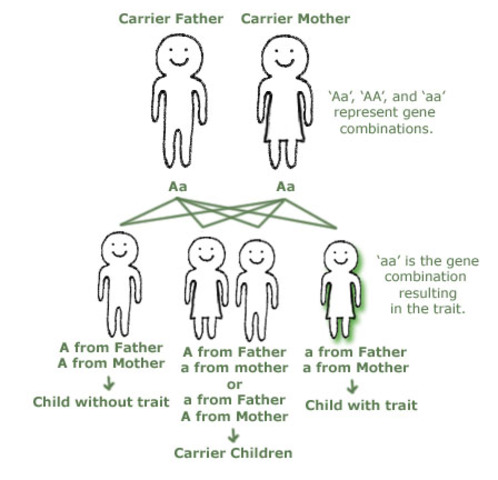 Rosalind Franklin and Maurice Wilkins