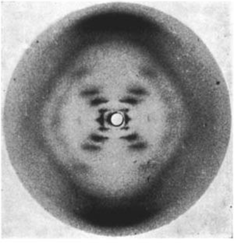 Rosalind Franklin and Maurice Wilkins