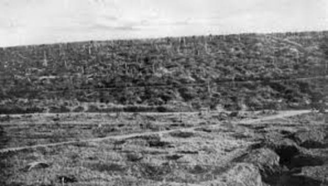 eye witness, from mort-Homme part 2