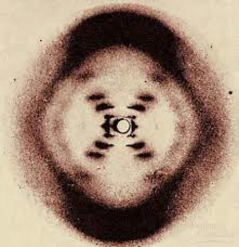 Rosalind Franklin and Maurice Wilkins.