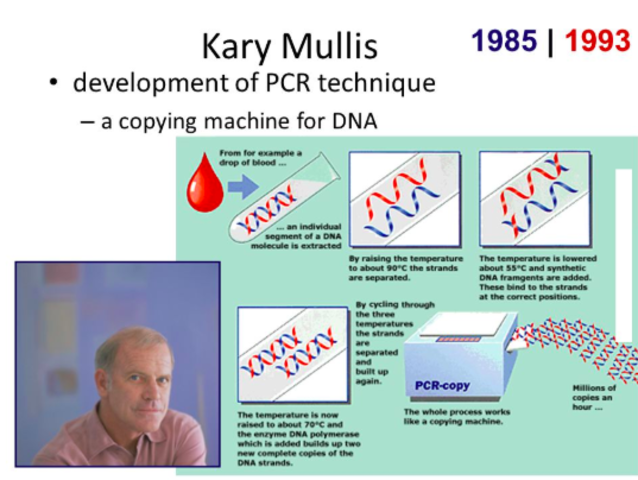 Kary Mullis