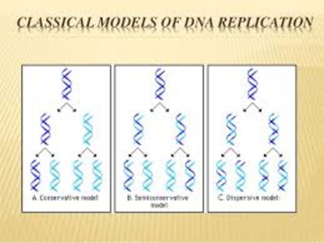 Matthew Meselson & Franklin Stahl
