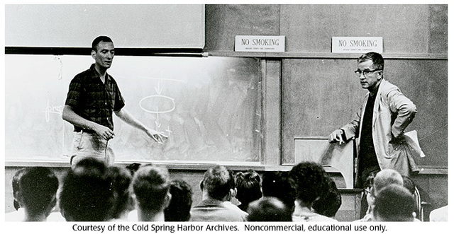 Matthew Meselsen and Franklin Stahl