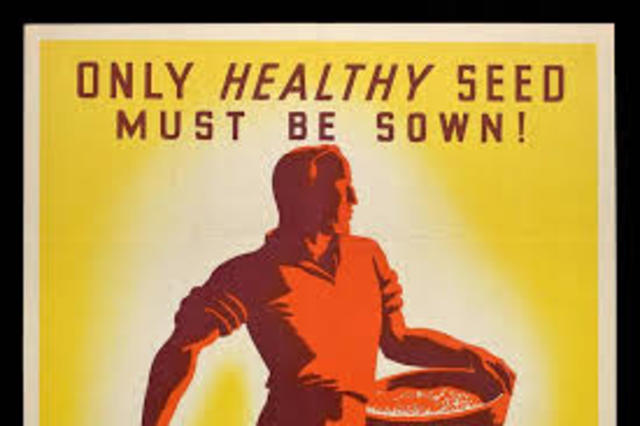 Eugene Sterilization Law Became Known