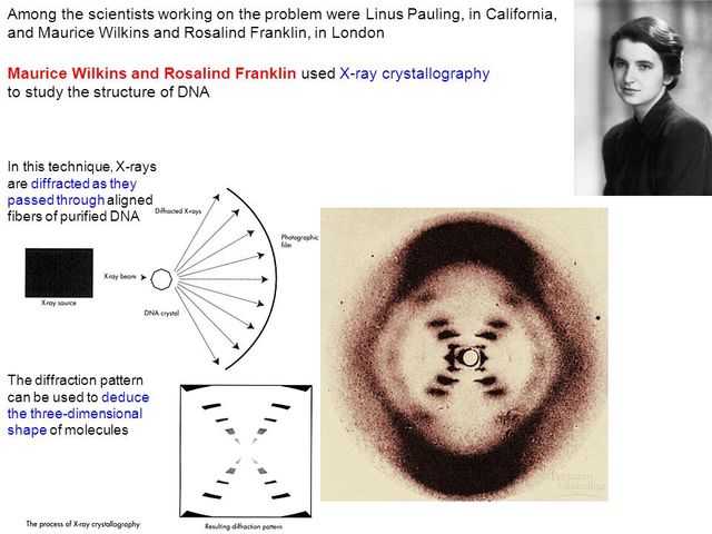 Rosalind Franklin and Maurice Wilkins