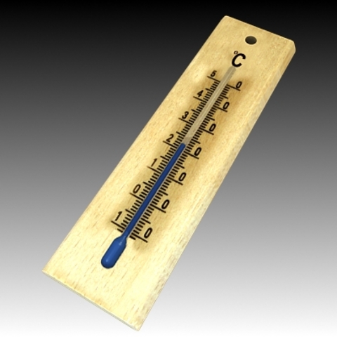 Mercury Thermometer