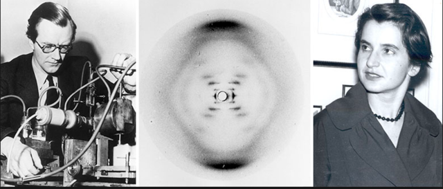 Rosalind Franklin and Maurice Wilkins