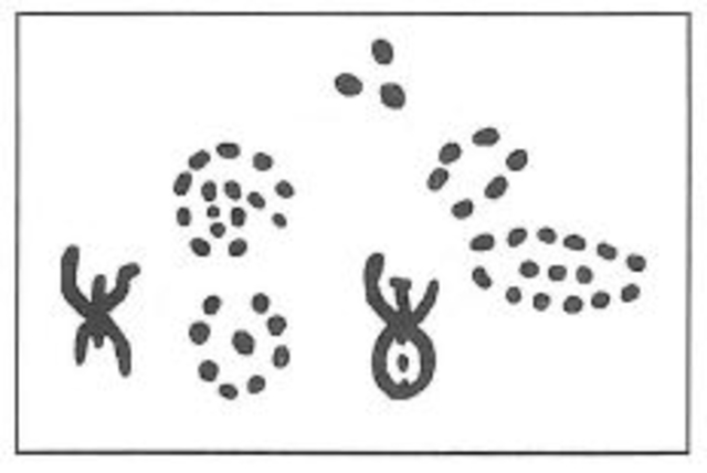 Cueva del silencio, Tarifa - Cádiz