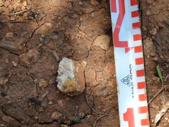 Fuente de la Encina II,  Carcabuey -  Córdoba