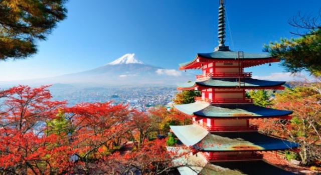 Se crea la vacuna para la encefalitis japonesa