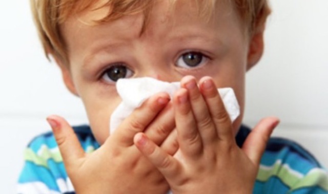 Se crea la vacuna para la H. influenzae