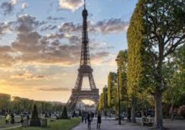 Brote de sarampión en Francia