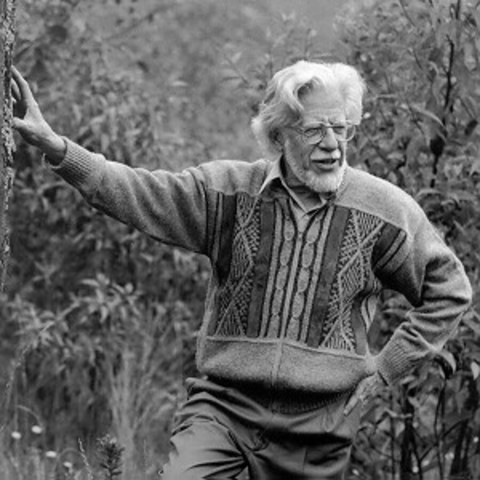 Muerte de Thomas van der Hammen (Undaciones)