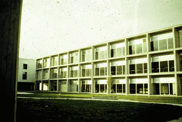 Primera Licenciatura en Nutrición