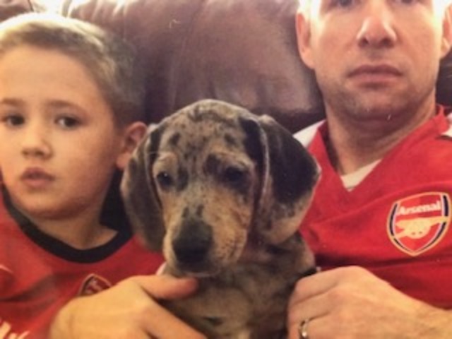 We get our second dog Gunner