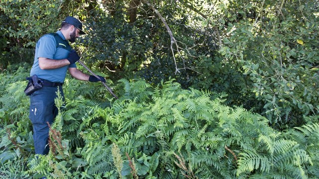 Diana Quer pudo haber pasado por casa antes de desaparecer