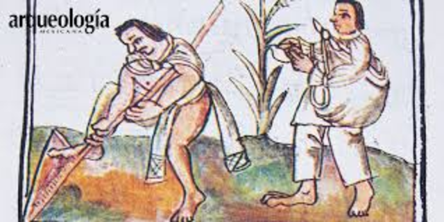 Técnicas agrícolas 300 d.c