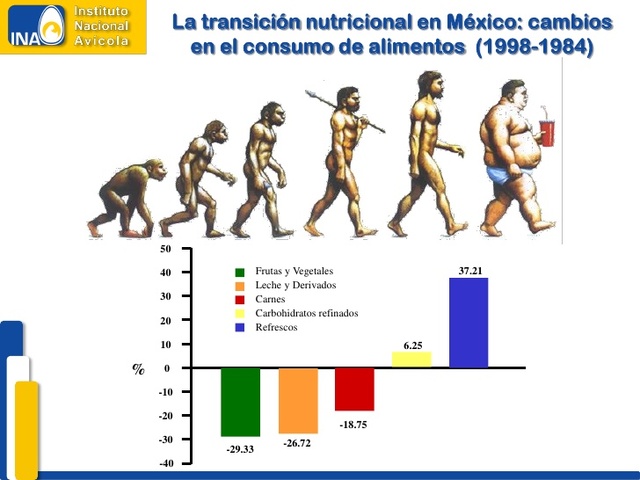 Transicion Alimentaria