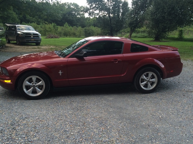 Received my Driver's License