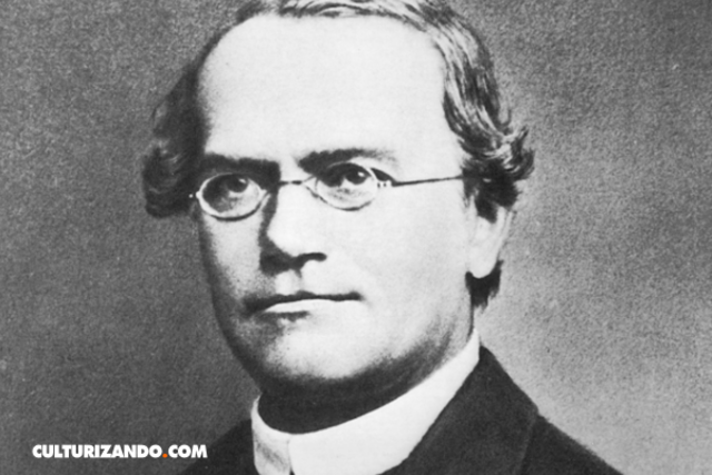 Las leyes de Mendel- Gregor Mendel