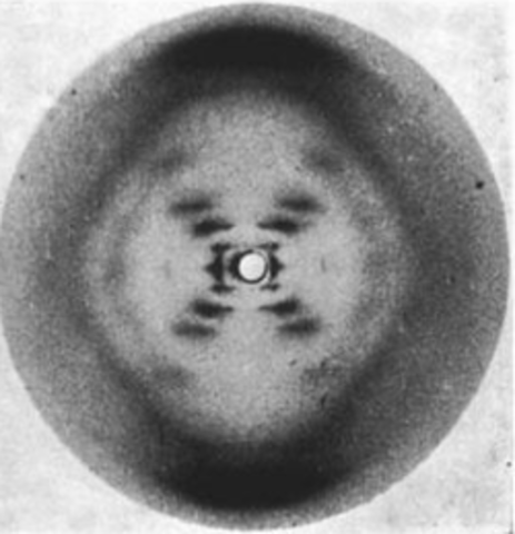 Rosalind Franklin and Maurice Wilkins
