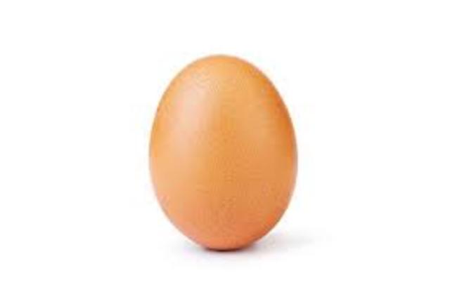 World Record Egg