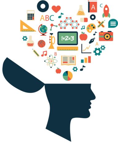 educacion y derechos politicos y sociales