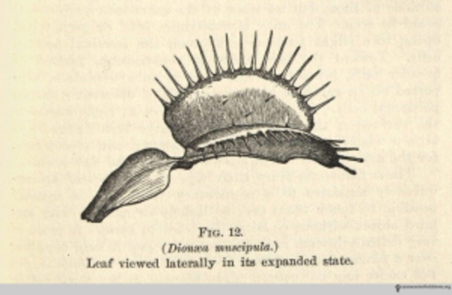 Darwin arrives at South America