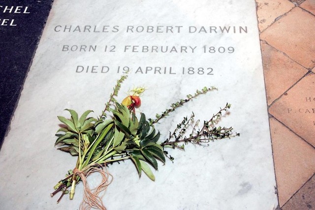 Death of Darwin