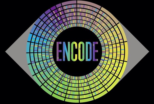 proyecto ENCODE