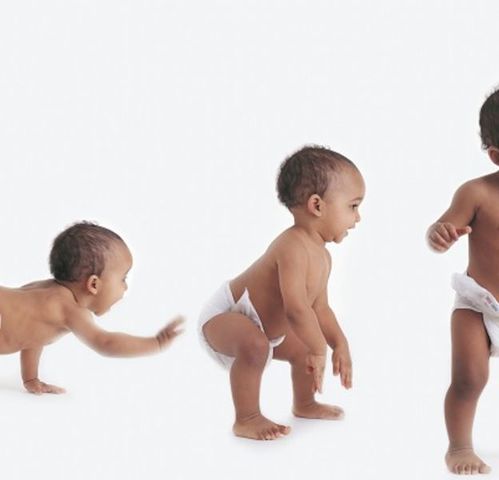 1991 - Proceso formativo