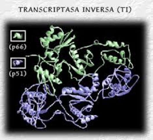 Descubrimiento de la enzima transcriptasa