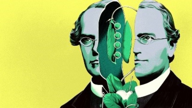Mendel publica su trabajo sobre la herencia genética, pero no fue valorado