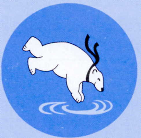 Dutch weather may spoil New Years dips