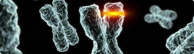 Muller y L.J.Standler descubrieron que los rayos X inducen mutaciones