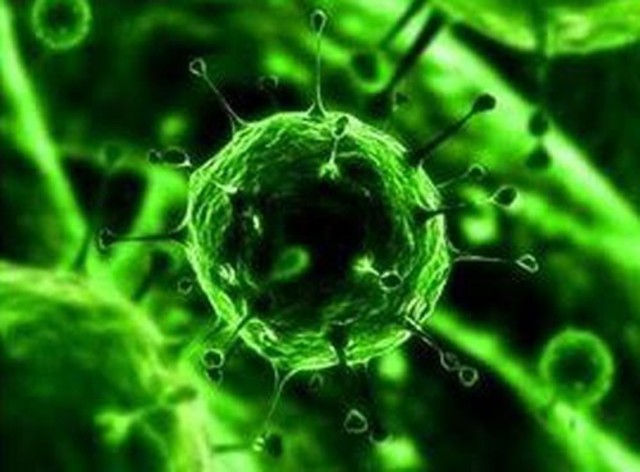 Joseph Goldstein y Michael Brown ganaron el premio Nobel de Medicina al descifrar los mecanismos que controlan la expresión de los genes que intervienen en el metabolismo del colesterol