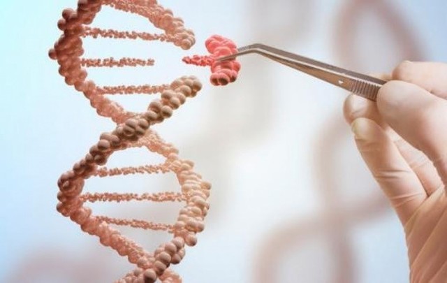 Se crea la organización HUGO para llevar a cabo un proyecto del genoma humano