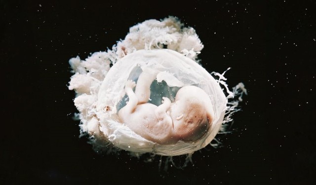 por primera vez se logra corregir en embriones humanos, mediante la edición genética.