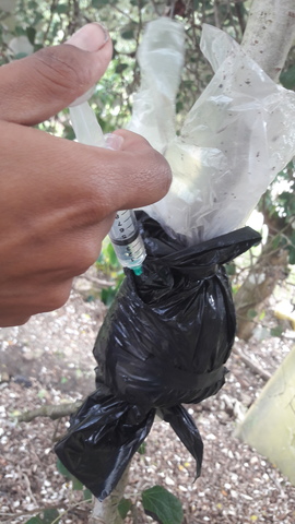 CONTROL Y RIEGO TRES