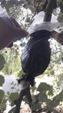 CONTROL Y RIEGO CINCO