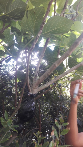 CONTROL Y RIEGO TRES