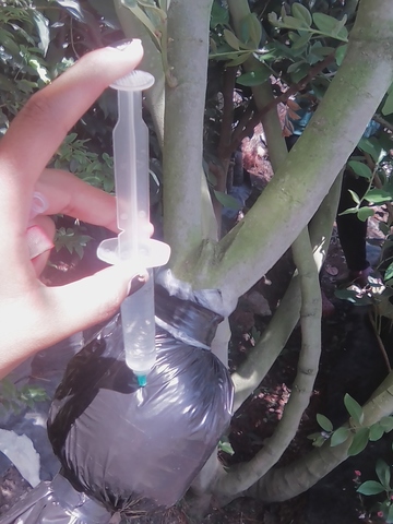 CONTROL Y RIEGO CUATRO