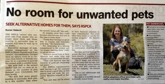 RSPCA WA ~ "We have no more room"